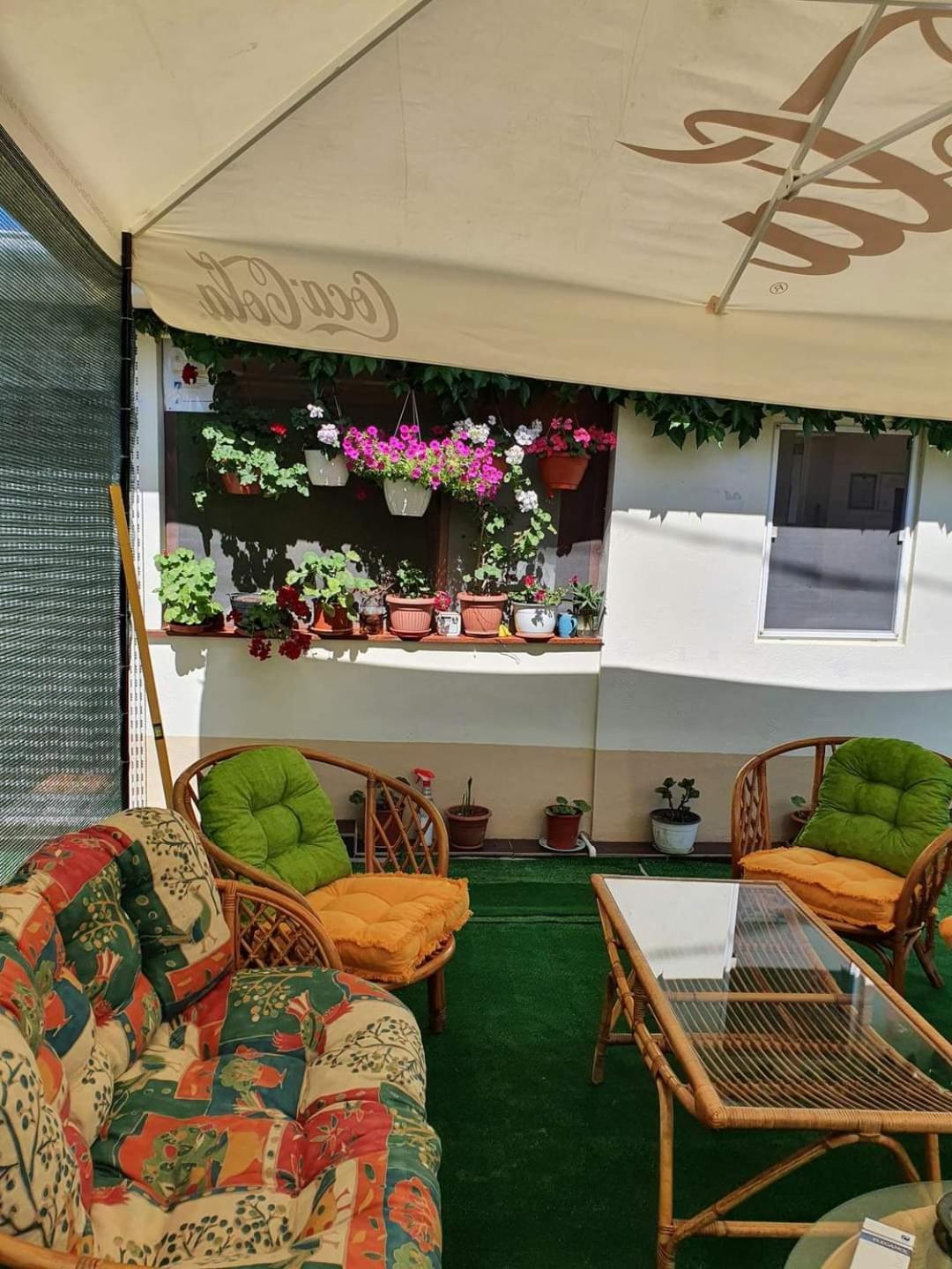 מלון Schitu Vila Robert מראה חיצוני תמונה
